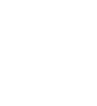 GEM PG
